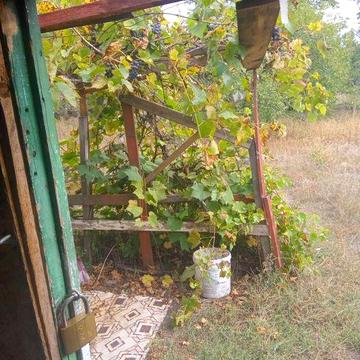 Продам дачу, общество Рассвет, пос. 40 лет, ул. Строительная