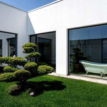 Виноградна вул.