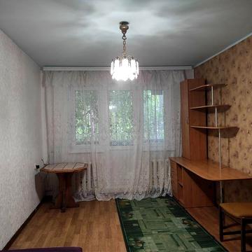 Сдам однокомнатную квартиру (Юго-западный массив))