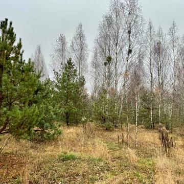 Здвижівка, Бучанський, Київська область 4000.0 USD