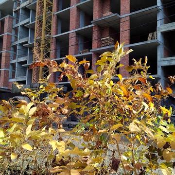 Продаж квартири у ЖК Грин парк Мукачево ЖК Грин парк Мукачево