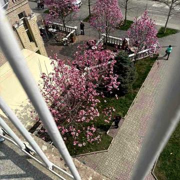 Бульвар Шевченко !  Аренда 2х ком.кв с 12.11