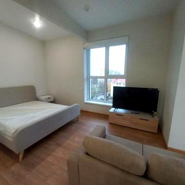 Аренда, 1к квартира с новым ремонтом, Дафи, Гагарина