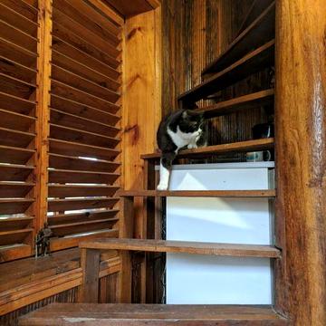 Продаж, будинок з банею