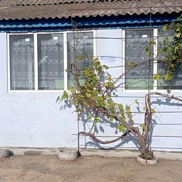 Продам будинок с. Новопетрівське 13 км від Нової Одеси