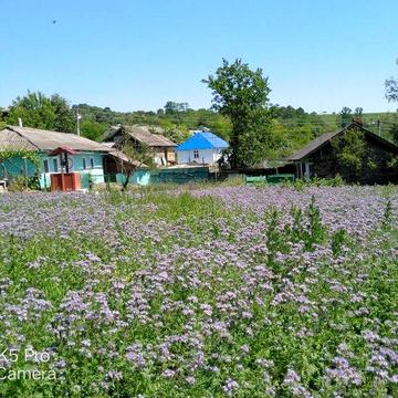 Продам будинок у селі