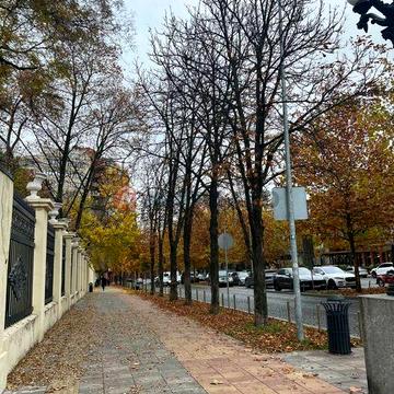 Здам Оренда 2 кімнатну квартиру  Парк Шевченка