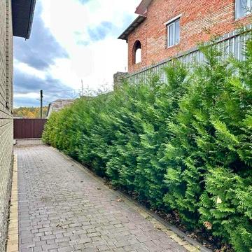 Продається окремий будинок в Кутківцях