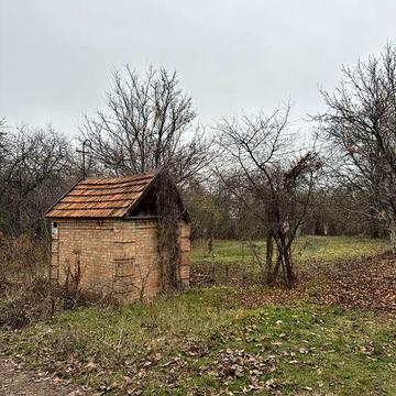 дача Песецкого в місті