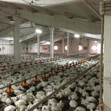 Якова Гальчевського пров., 1