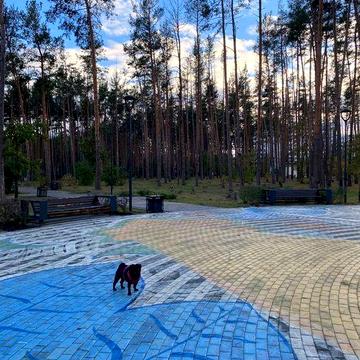 Затишний таун з ремонтом прям біля парк Щасливий. ІД 246