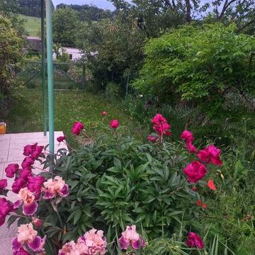 Продам дачу за Васильковом.