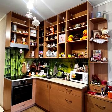 Велика Панасівська вул. (Котлова), 106