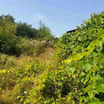 Продаж будинку 10 хвилин Холодна Гора Залютино