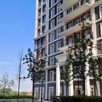 Михайла Максимовича вул. (Онуфрія Трутенка), 26-Д