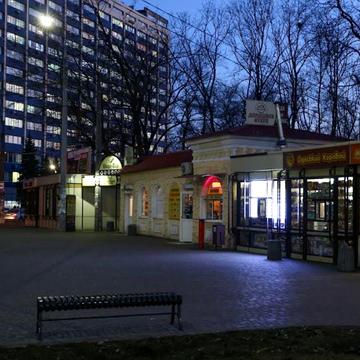 Куликове поле вул., 1