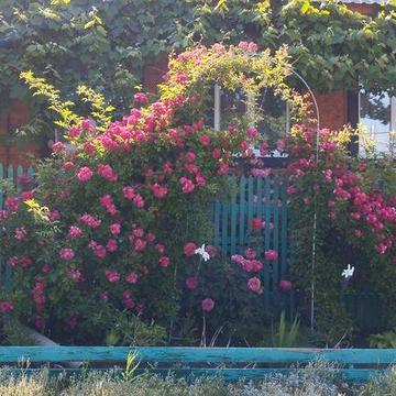 Продаю  свій будинок