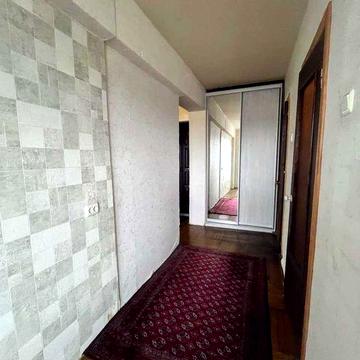 В.Васильківська метро Олімпійська можна з тваринами