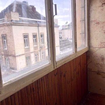 В.Васильківська метро Олімпійська можна з тваринами