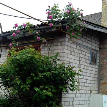 продаєм будинок із жилою літнєю кухнею