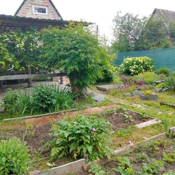 Дача на Олдиші (м. Суми)