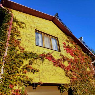 Прибережна вул., 12