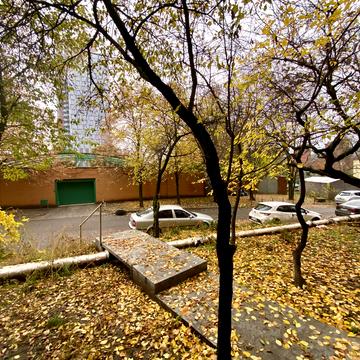 Володимира Вернадського вул. (Дзержинського), 35