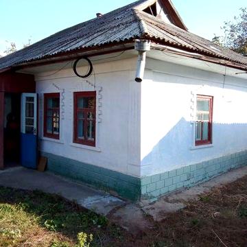 Будинок з великою ділянкою