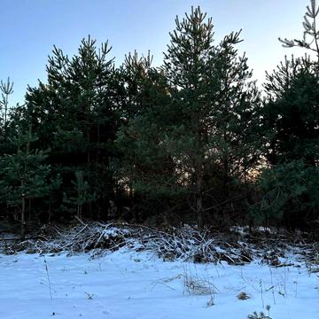 Бірки, Яворівський, Львівська область 25000.0 USD