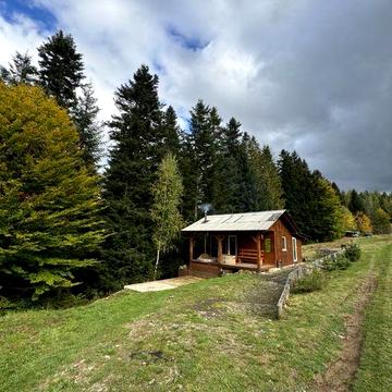 Ділянка з будинком і готовим бізнесом біля лісу