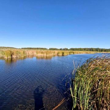 Українська