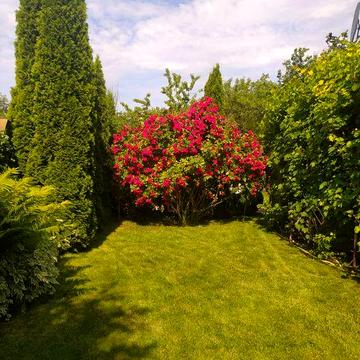 Аренда загородного дома