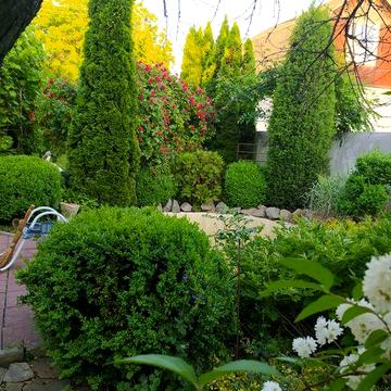 Аренда загородного дома