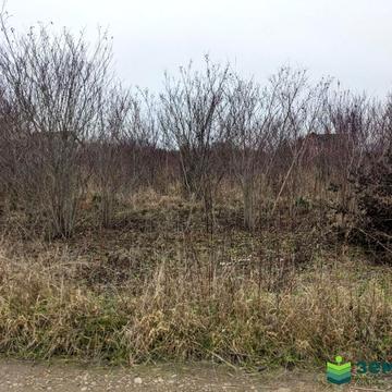 Клузів, Івано-Франківський, Івано-Франківська область 10700.0 USD