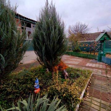 Продам дом Чугуев