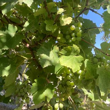 Академіка Вернадського вул., 82
