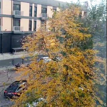 Довгострокова оренда 3к Квартира Шевченка вулиця