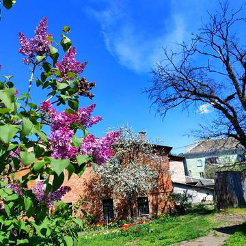 Реміснича вул. (Комсомольська), 4