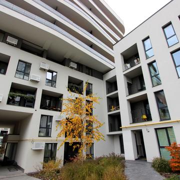 Зелена вул., 151