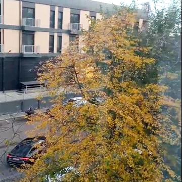 Шевченка вул., 84