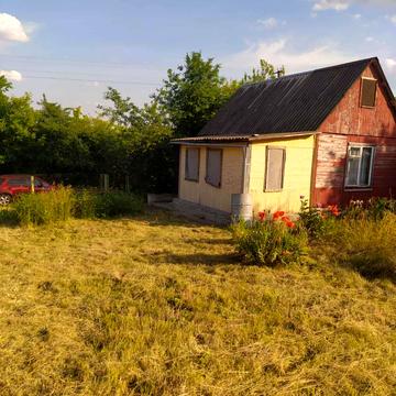 Виноградна