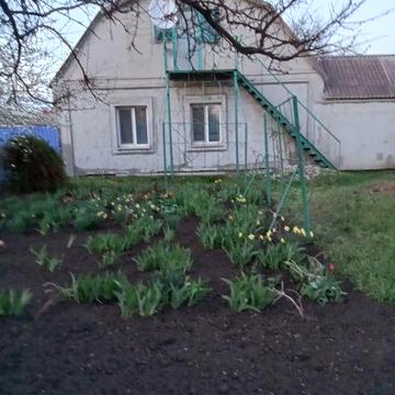 Будинок приватизований