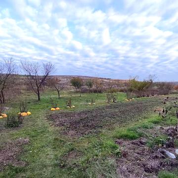 Сагайдачного