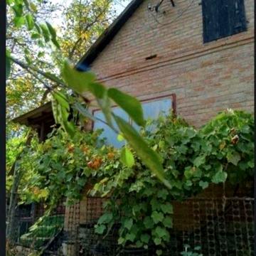 Продаж будинку Поділ