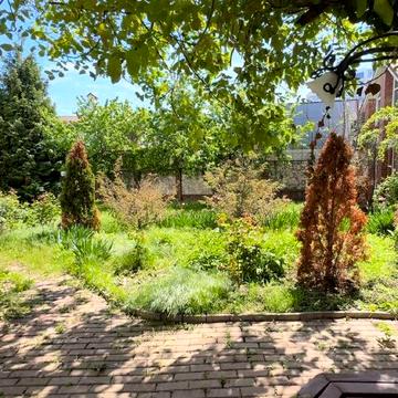 Колективний провулок