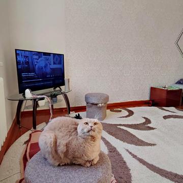 Винниченка вул., 4