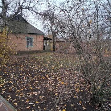 Центральна