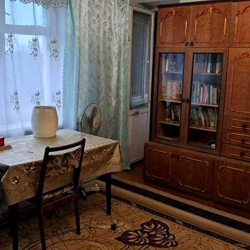 Здам квартиру в центрі міста