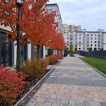 Західна вул., 5