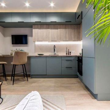 Михайла Бойчука вул. (Кіквідзе), 41-Б